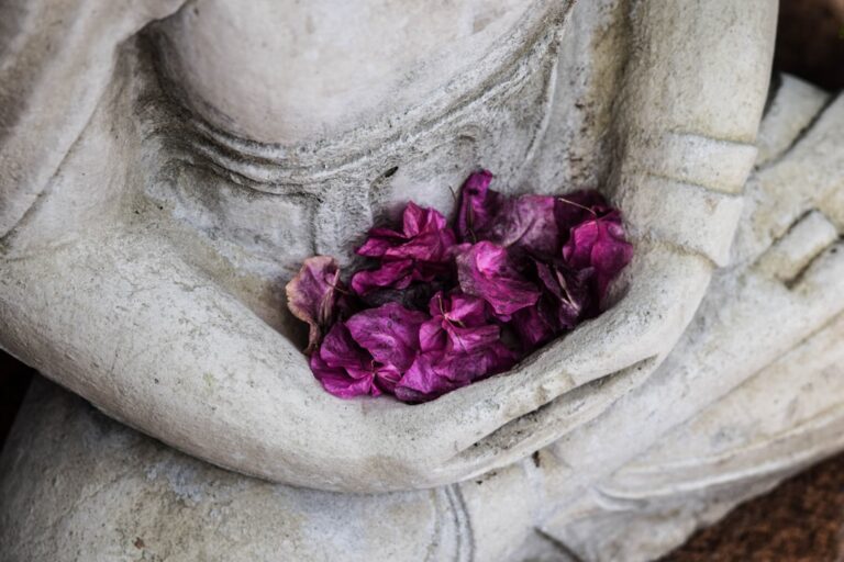 Photo In-flight meditation