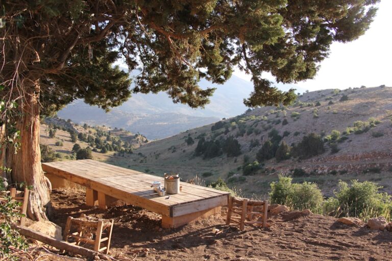 Photo Outdoor picnic