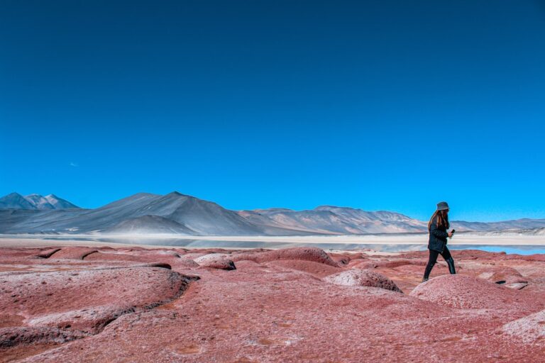 Photo Travel agency