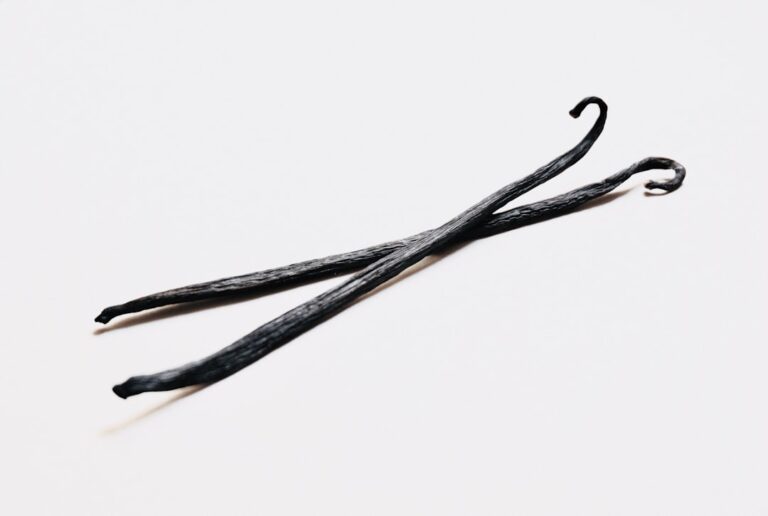 Photo Sushi ingredients