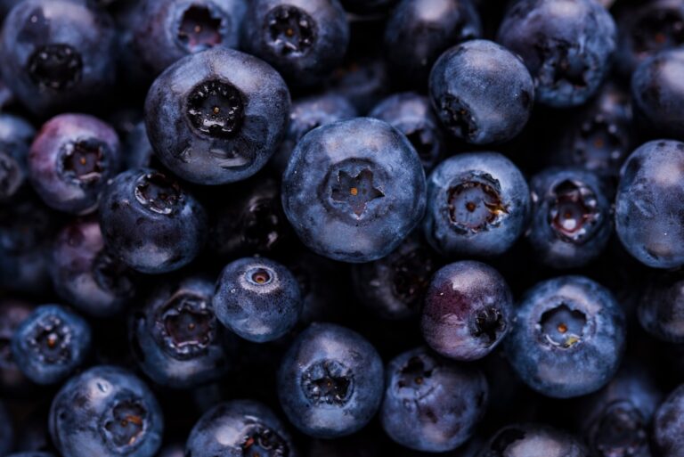 Photo Fresh fruit