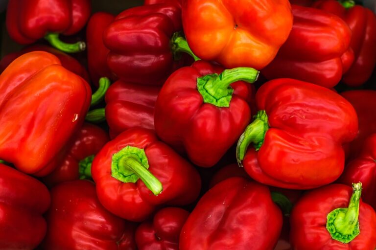 Photo Colorful vegetables