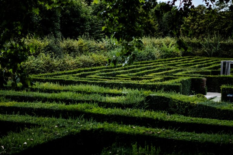 Photo Maze of obstacles