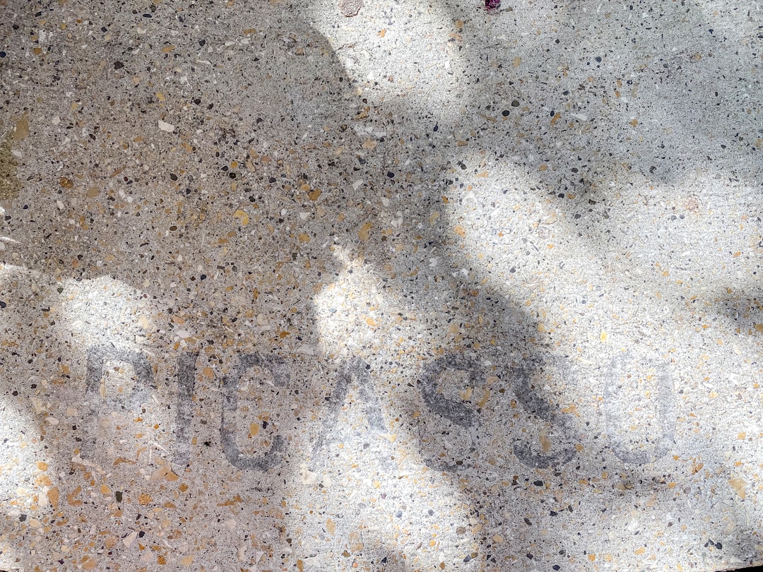 Photo Picasso, Warhol