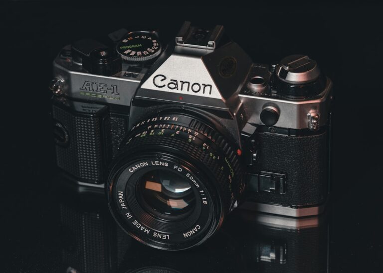 Photo Mentorship program