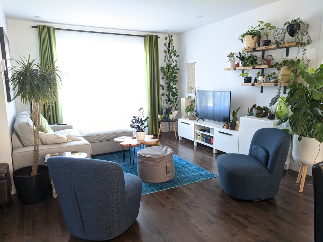 Photo Indoor plants