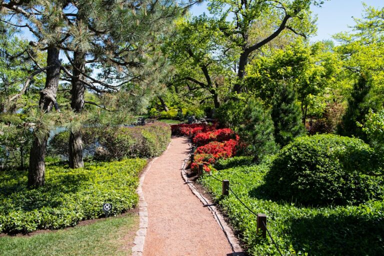 Photo Peaceful nature