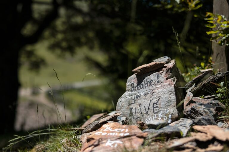 Photo Inspirational quote