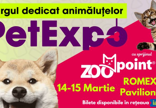 1773145392_69b00d306a762_resizefile_PetExpo2026