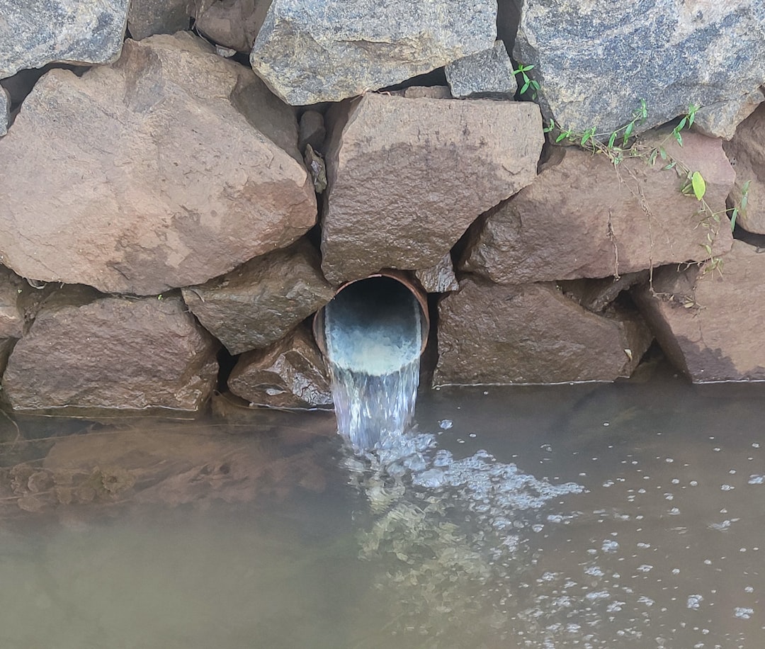 Photo reduce water retention