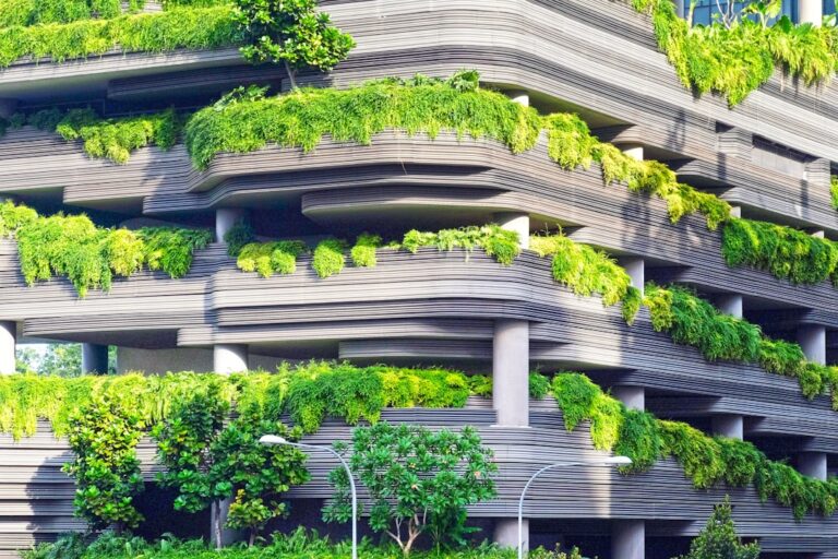 Photo sustainability