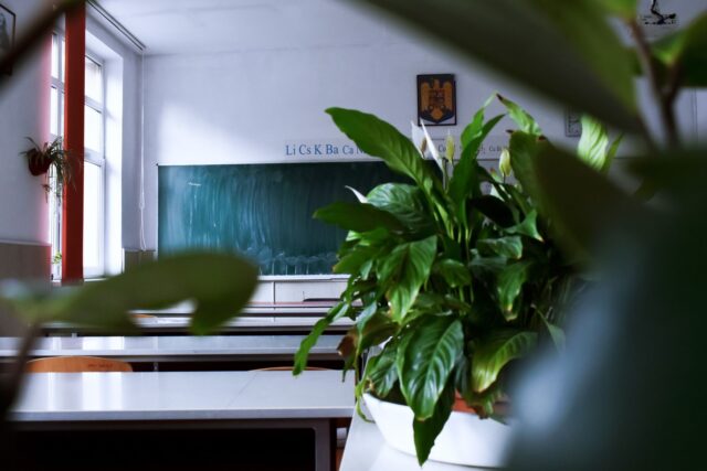 Sală de clasă goală, cu bănci aliniate și lumină de dimineață care intră pe ferestre